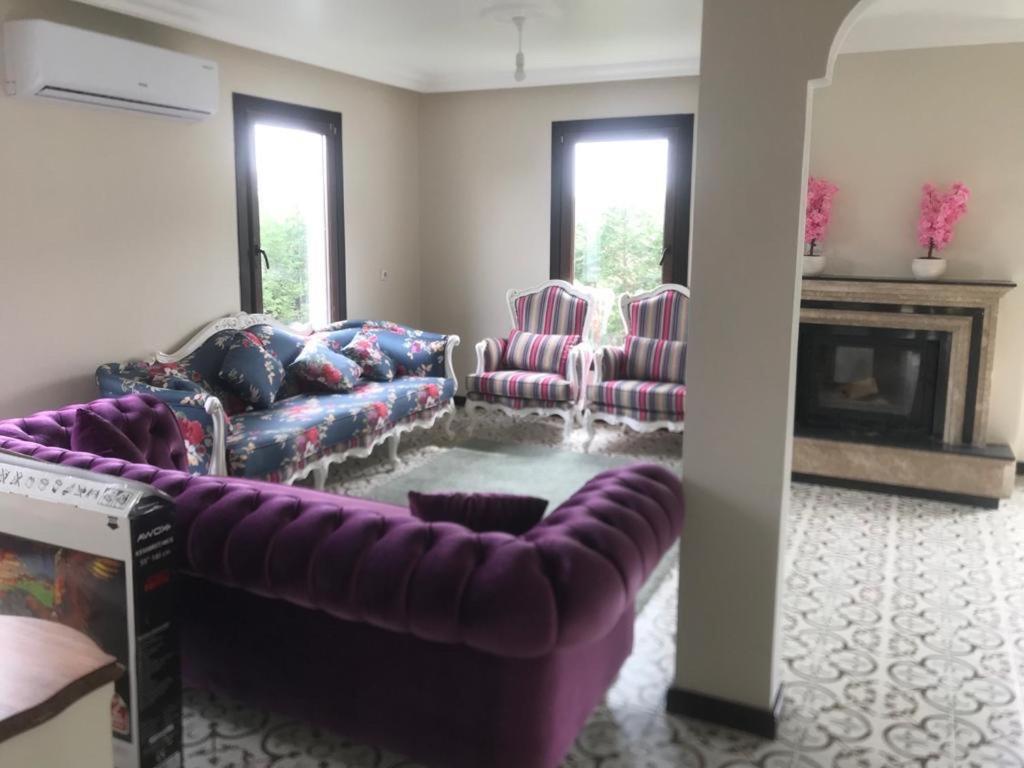 Sapanca Manzara Villa 1 Isitma Havuzlu Εξωτερικό φωτογραφία