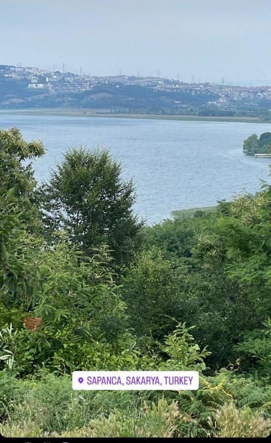 Sapanca Manzara Villa 1 Isitma Havuzlu Εξωτερικό φωτογραφία