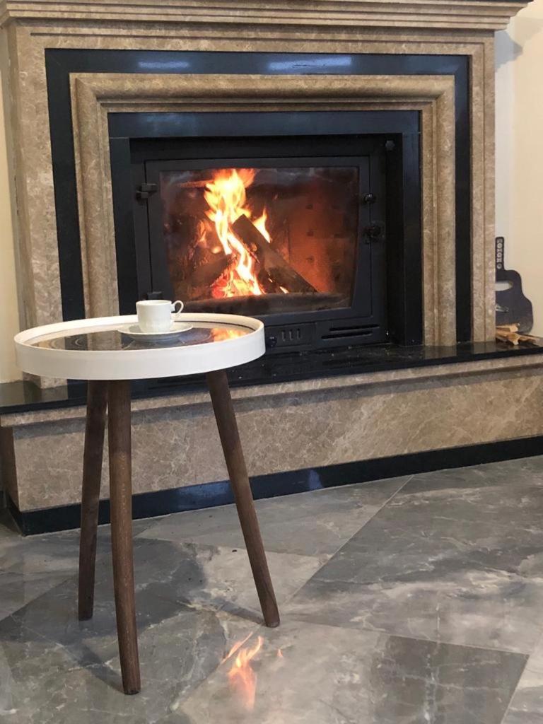 Sapanca Manzara Villa 1 Isitma Havuzlu Εξωτερικό φωτογραφία
